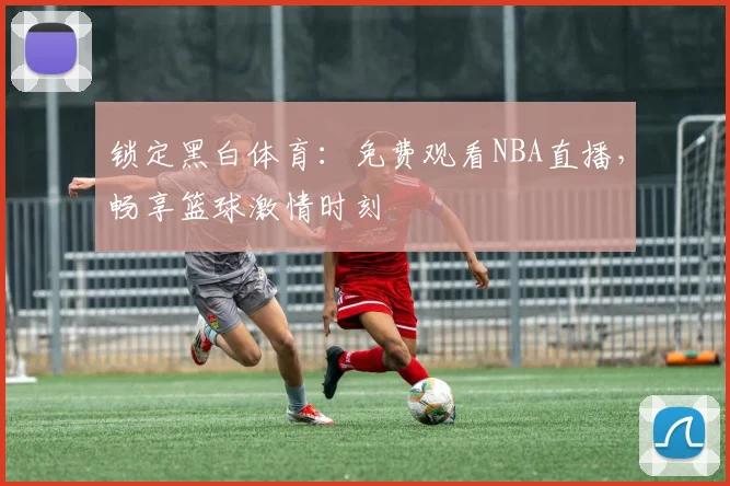 锁定黑白体育：免费观看NBA直播，畅享篮球激情时刻