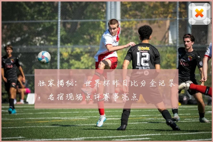 独家揭秘：世界杯昨日比分全记录，名宿现场点评赛事亮点