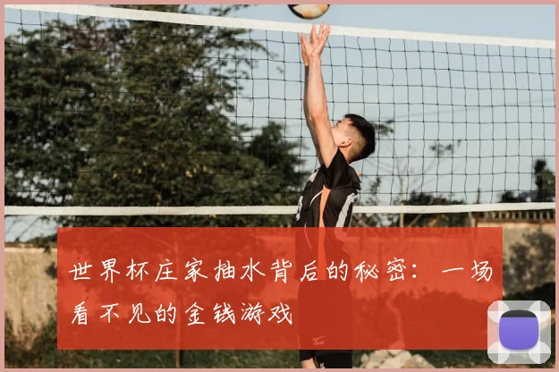 世界杯庄家抽水背后的秘密:一场看不见的金钱游戏
