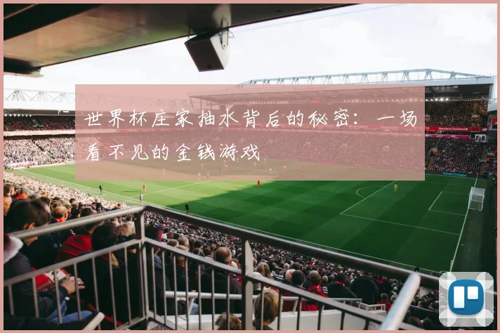 世界杯庄家抽水背后的秘密:一场看不见的金钱游戏