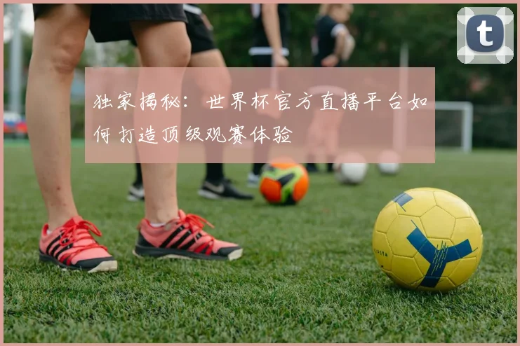独家揭秘：世界杯官方直播平台如何打造顶级观赛体验