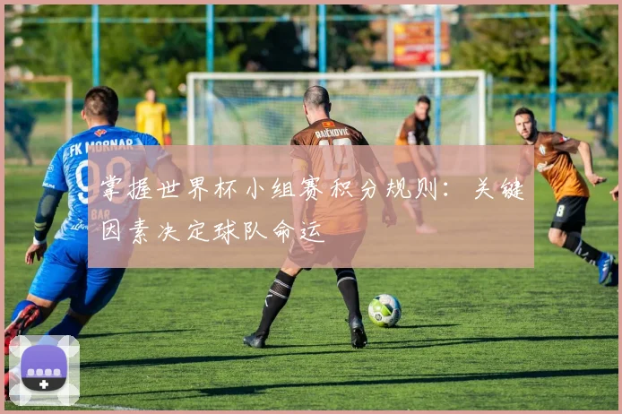 掌握世界杯小组赛积分规则:关键因素决定球队命运
