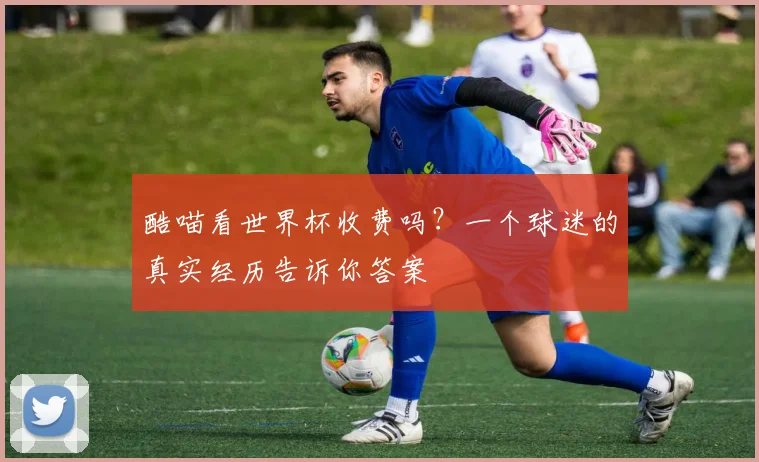 酷喵看世界杯收费吗？一个球迷的真实经历告诉你答案