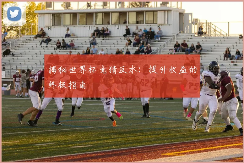 揭秘世界杯竞猜反水：提升收益的终极指南