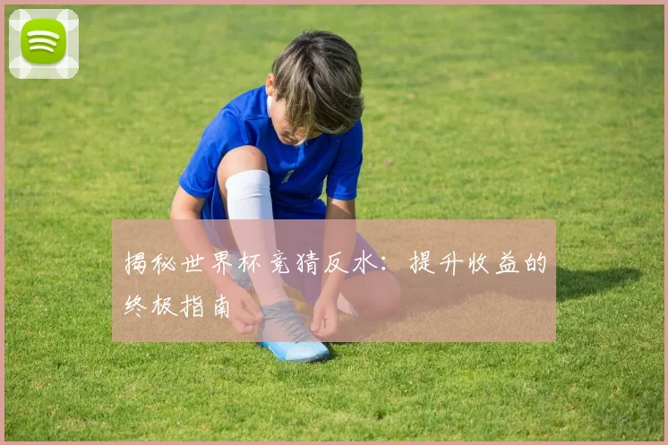 揭秘世界杯竞猜反水:提升收益的终极指南