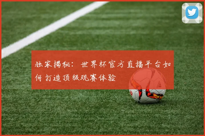 独家揭秘：世界杯官方直播平台如何打造顶级观赛体验