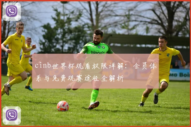 cinb世界杯观看权限详解:会员体系与免费观赛途径全解析